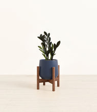 Load image into Gallery viewer, Deep Navy stand:walnut