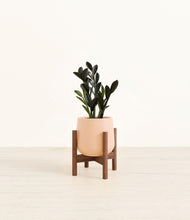 Load image into Gallery viewer, Gentle Pink stand:walnut