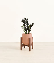 Load image into Gallery viewer, Calm Rose stand:walnut
