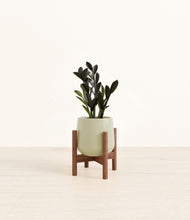 Load image into Gallery viewer, Turquoise stand:walnut