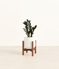 Load image into Gallery viewer, White stand:walnut