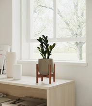 Load image into Gallery viewer, Olive stand:walnut