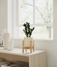 Load image into Gallery viewer, Almond Green stand:bamboo