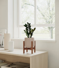 Load image into Gallery viewer, Eternal Gray stand:walnut