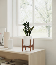 Load image into Gallery viewer, White stand:walnut