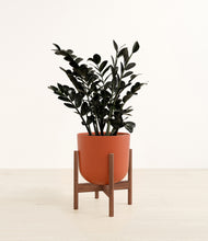 Load image into Gallery viewer, Earth Red stand:walnut