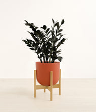 Load image into Gallery viewer, Earth Red stand:bamboo