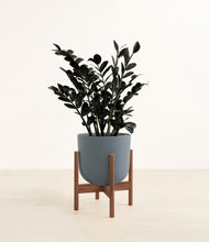 Load image into Gallery viewer, Iron Gray stand:walnut