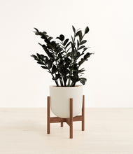 Load image into Gallery viewer, Natural Bamboo stand:walnut