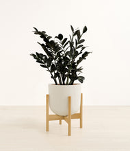 Load image into Gallery viewer, Natural Bamboo stand:bamboo