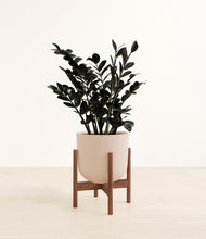 Load image into Gallery viewer, Sandy Pink stand:walnut