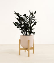 Load image into Gallery viewer, Sandy Pink stand:bamboo