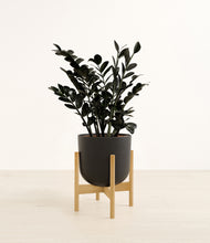 Load image into Gallery viewer, Stone Black stand:bamboo