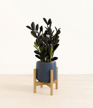 Load image into Gallery viewer, Deep Navy stand:bamboo