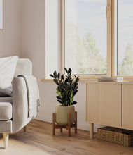 Load image into Gallery viewer, Olive stand:walnut