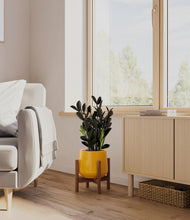 Load image into Gallery viewer, Mustard stand:walnut