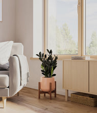 Load image into Gallery viewer, Calm Rose stand:walnut