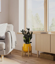 Load image into Gallery viewer, Mustard stand:bamboo