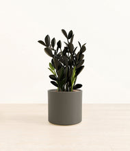 Load image into Gallery viewer, Dark Olive*****Profile