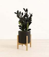 Load image into Gallery viewer, Black stand:bamboo