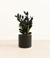 Load image into Gallery viewer, Black*****Profile