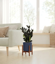 Load image into Gallery viewer, Deep Navy stand:walnut