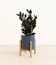 Load image into Gallery viewer, Deep Navy stand:bamboo