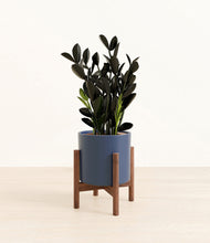 Load image into Gallery viewer, Deep Navy stand:walnut