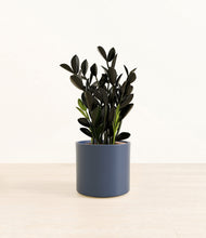 Load image into Gallery viewer, Deep Navy*****Profile