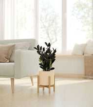 Load image into Gallery viewer, Cream stand:bamboo