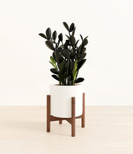 Load image into Gallery viewer, White stand:walnut