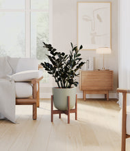 Load image into Gallery viewer, Sage Green stand:walnut