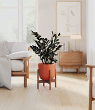 Load image into Gallery viewer, Earth Red stand:walnut