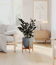 Load image into Gallery viewer, Iron Gray stand:bamboo