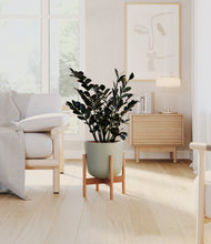 Load image into Gallery viewer, Sage Green stand:bamboo