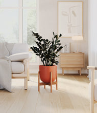 Load image into Gallery viewer, Earth Red stand:bamboo
