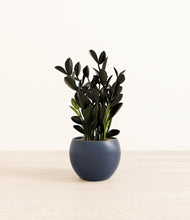 Load image into Gallery viewer, Deep Navy*****Profile