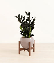 Load image into Gallery viewer, Winter Clouds stand:walnut