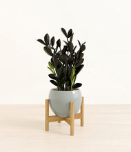 Load image into Gallery viewer, Deep Ocean stand:bamboo