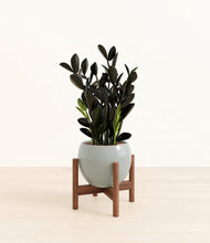 Load image into Gallery viewer, Deep Ocean stand:walnut