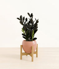 Load image into Gallery viewer, Calm Rose stand:bamboo