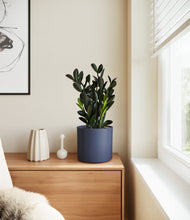 Load image into Gallery viewer, Deep Navy