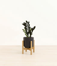 Load image into Gallery viewer, Stone Black stand:bamboo