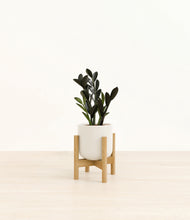 Load image into Gallery viewer, Cotton White stand:bamboo