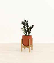 Load image into Gallery viewer, Glossy Red stand:bamboo