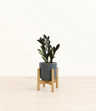 Load image into Gallery viewer, Iron Gray stand:bamboo