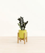 Load image into Gallery viewer, Key Lime Yellow stand:bamboo
