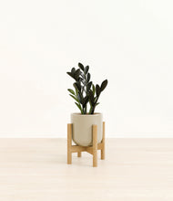 Load image into Gallery viewer, Sage Green stand:bamboo