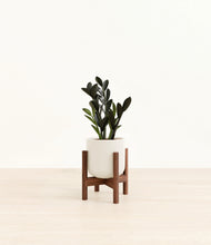 Load image into Gallery viewer, Cotton White stand:walnut