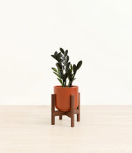 Load image into Gallery viewer, Glossy Red stand:walnut
